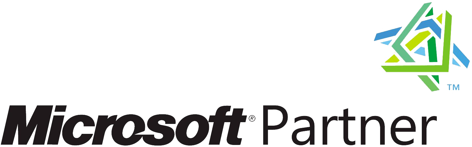 microsoft erp partner